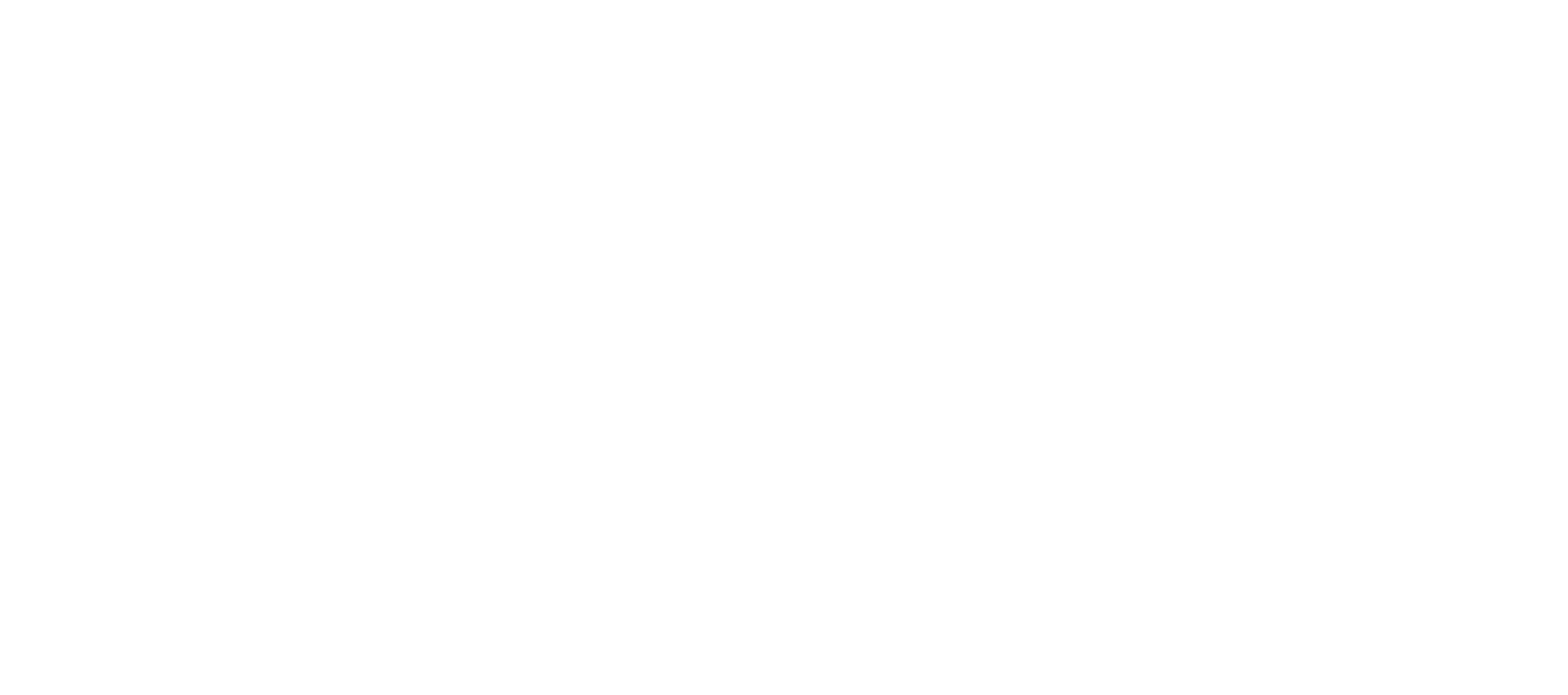 Logo Light